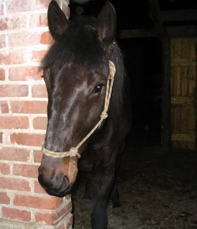 Photo de profil de ondin59