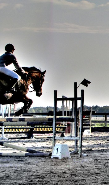 Photo de profil de lenaik2003