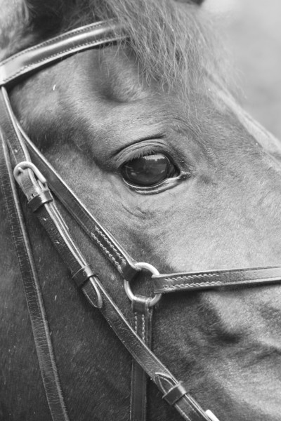 Photo de profil de mmedemai