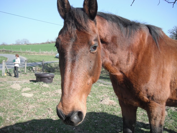 Photo de profil de camcheval
