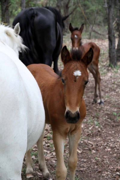 Photo de profil de fredcamping04