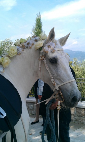 Photo de profil de marionnette83