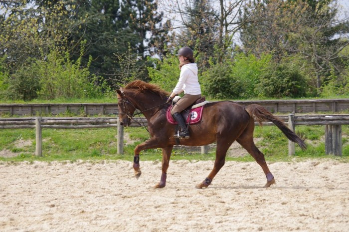 Photo de profil de camillegr