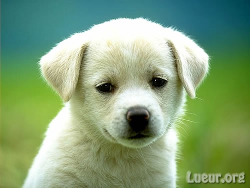 Photo de profil de disoma