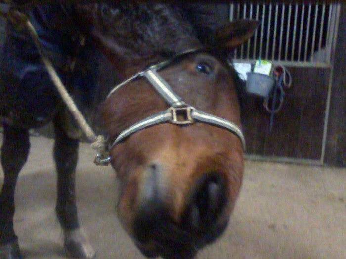Photo de profil de marion14250