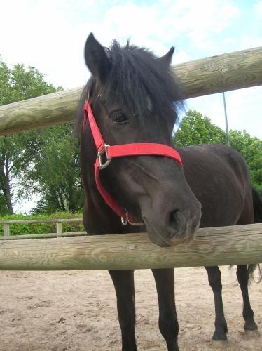 Photo de profil de audreydu95