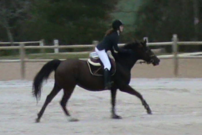 Photo de profil de lilaaa