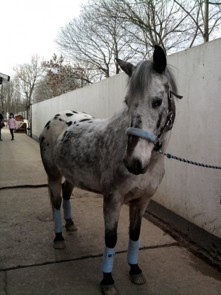 Photo de profil de oceane91