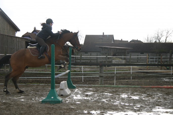 Photo de profil de appolinesalome