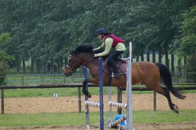 Photo de profil de iris49