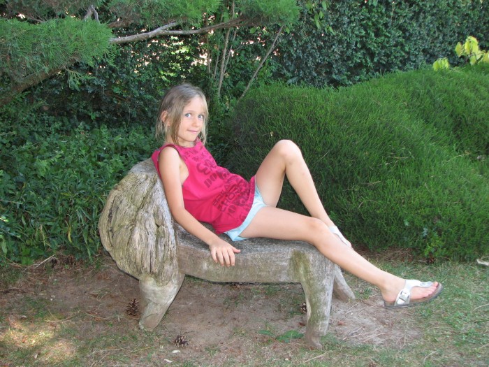 Photo de profil de courseschevaux