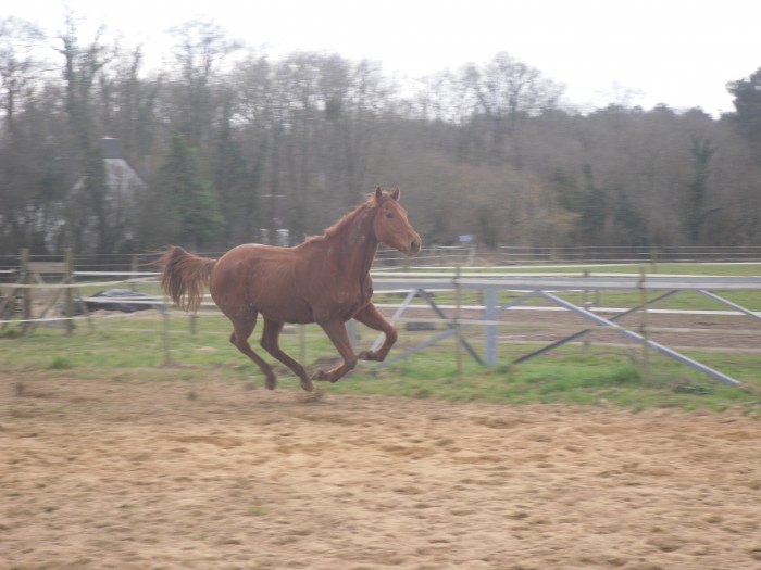 Photo de profil de mrulliat