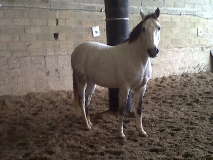 Photo de profil de katiochka