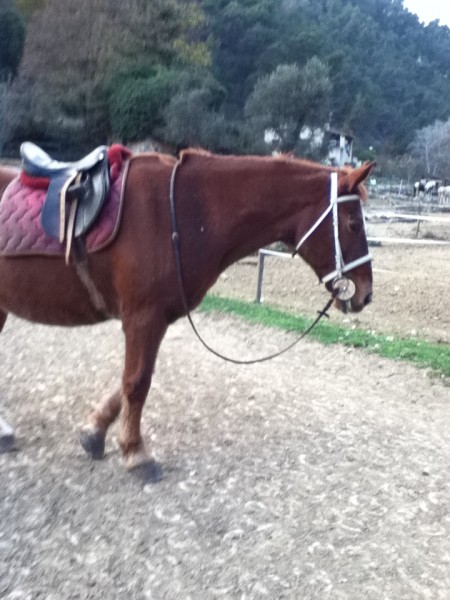 Photo de profil de tkscreation