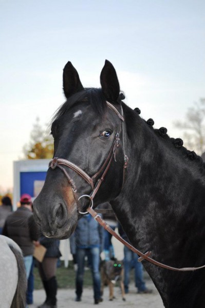 Photo de profil de vgaf