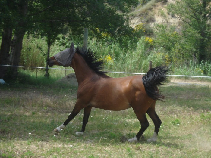 Photo de profil de lulucitron
