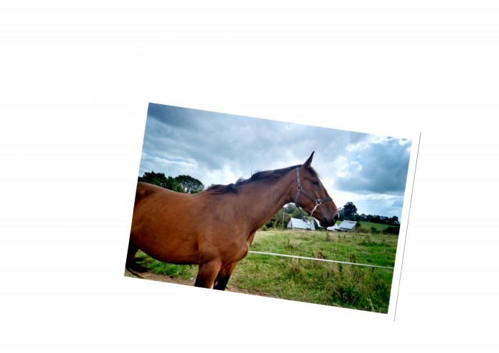 Photo de profil de nadege1992