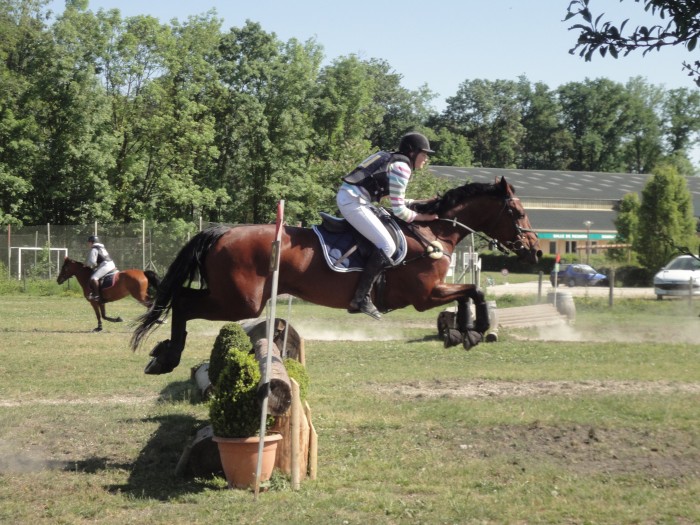 Photo de profil de cridelle