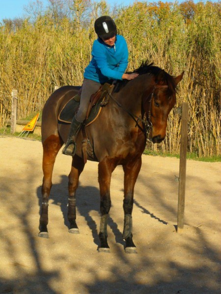 Photo de profil de spinningw