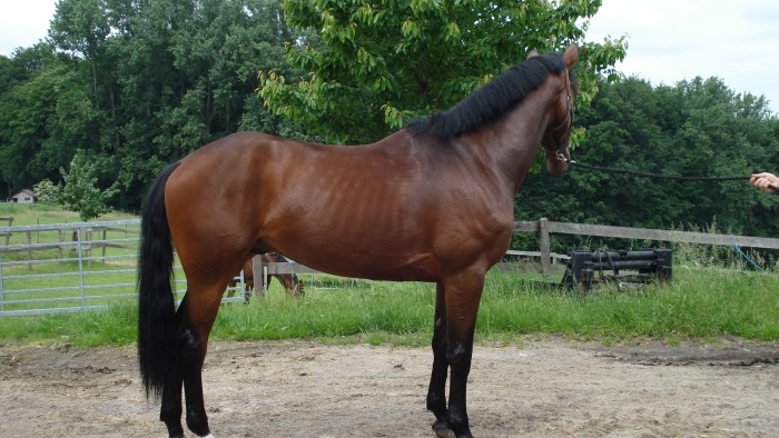 Photo de profil de jenn001