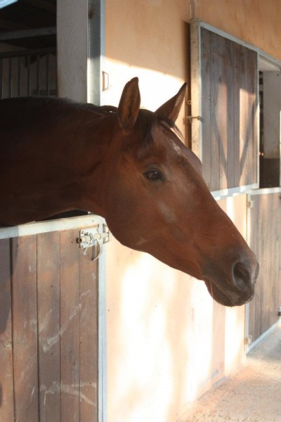 Photo de profil de cookie.kiwi