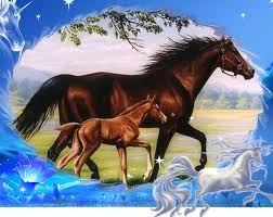 Photo de profil de smartiz