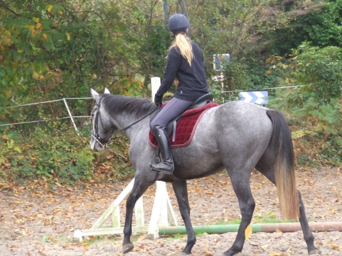 Photo de profil de euriell22