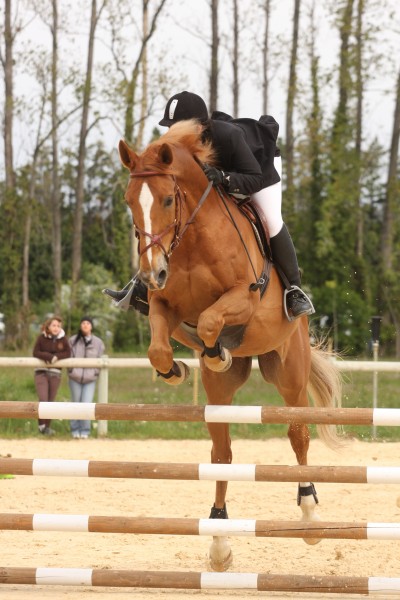 Photo de profil de dianec84