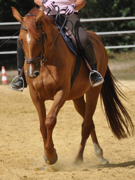 Photo de profil de cilouzunette