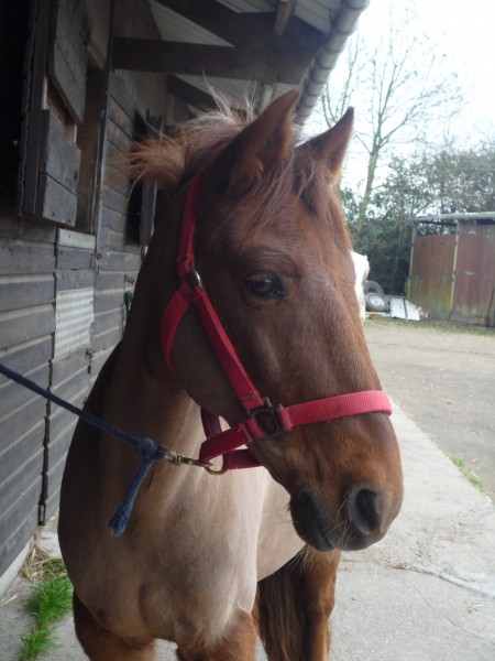 Photo de profil de nuage3lo