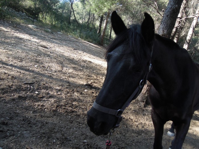 Photo de profil de otawaa