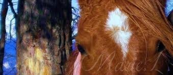 Photo de profil de marie06fit