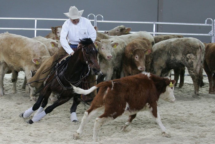 Photo de profil de geoof