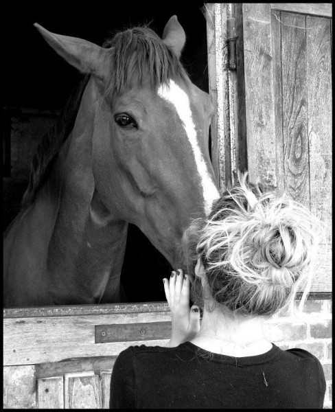 Photo de profil de laundc