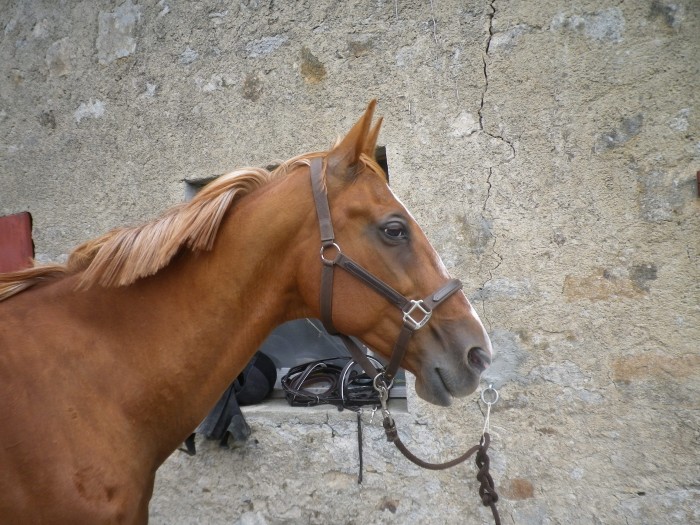 Photo de profil de marie87