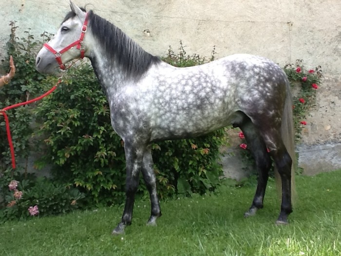 Photo de profil de kenzokenzo