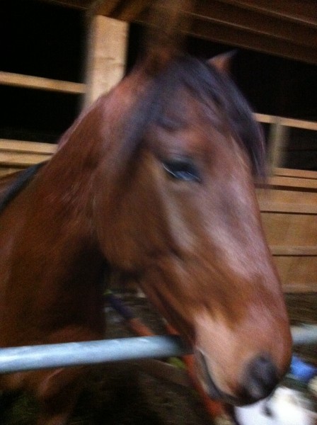 Photo de profil de scasca14