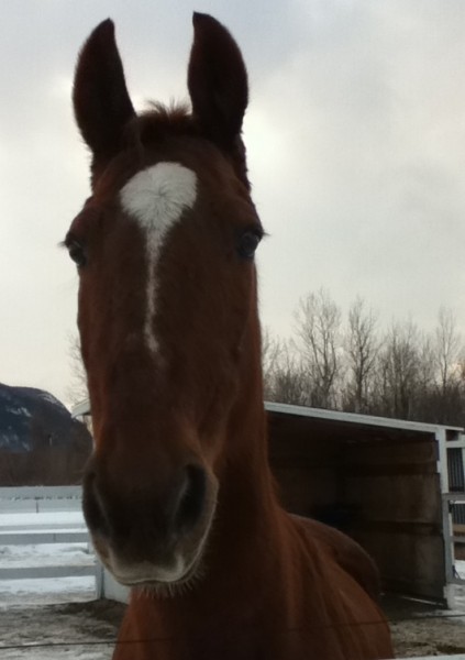 Photo de profil de jolieap5