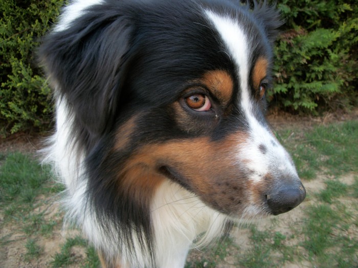 Photo de profil de manon693