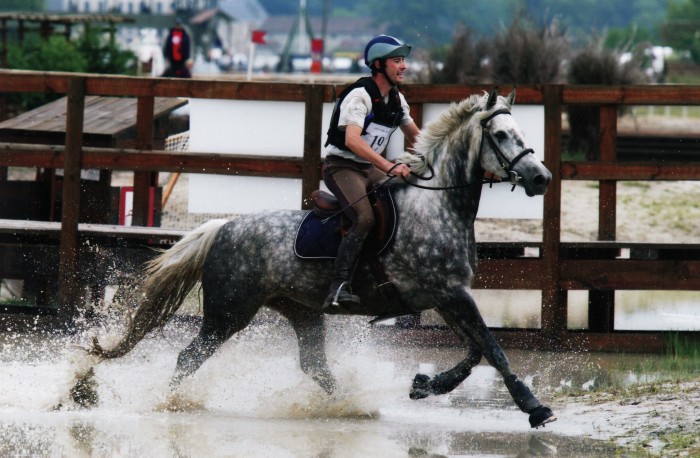 Photo de profil de marco.