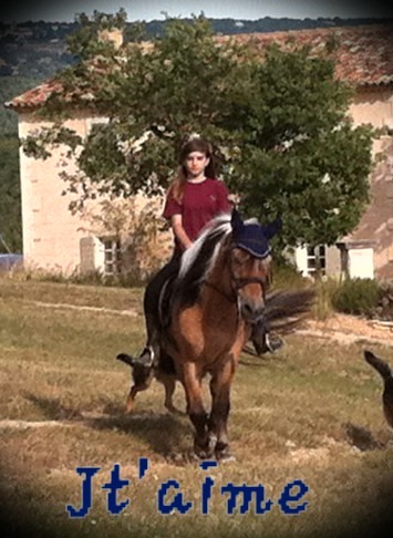 Photo de profil de belledino