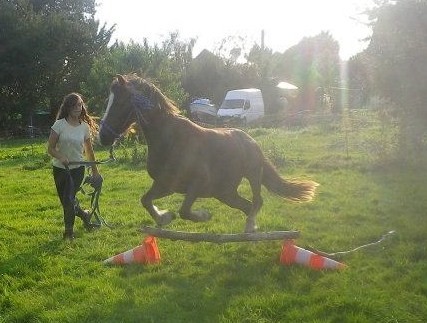 Photo de profil de broheulogmisty