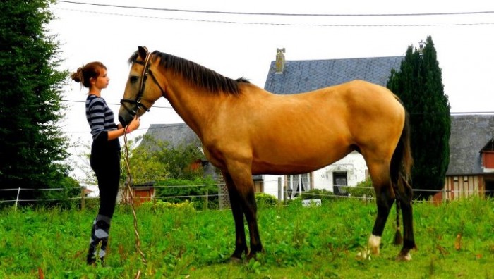 Photo de profil de isobel76