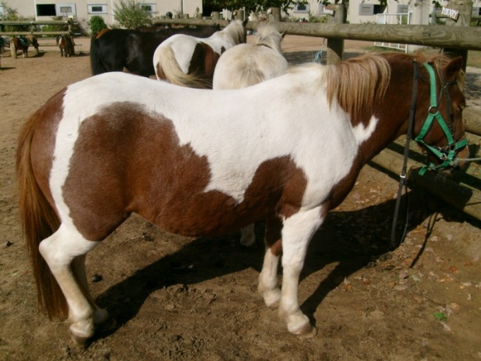 Photo de profil de mamadu72