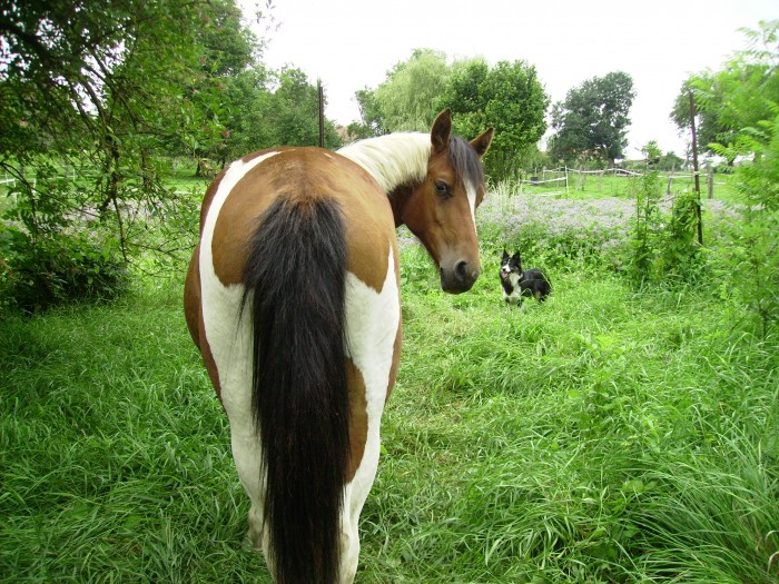 Photo de profil de heaven2