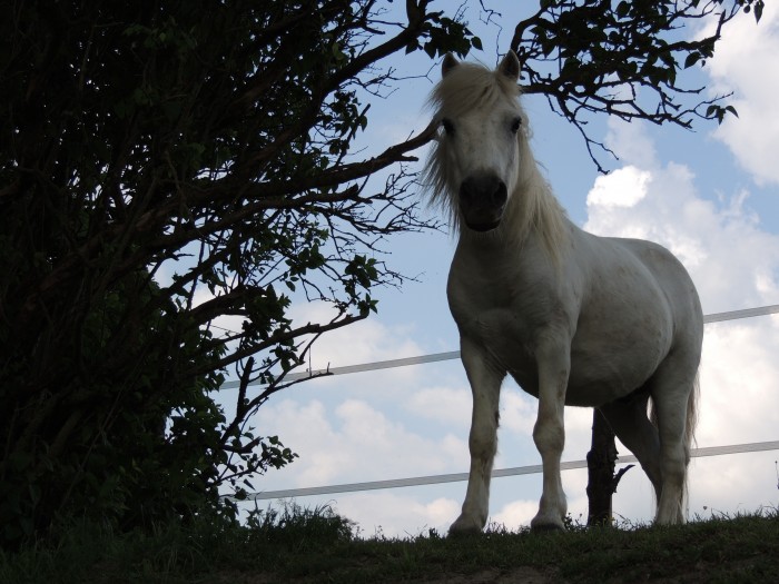 Photo de profil de timon37