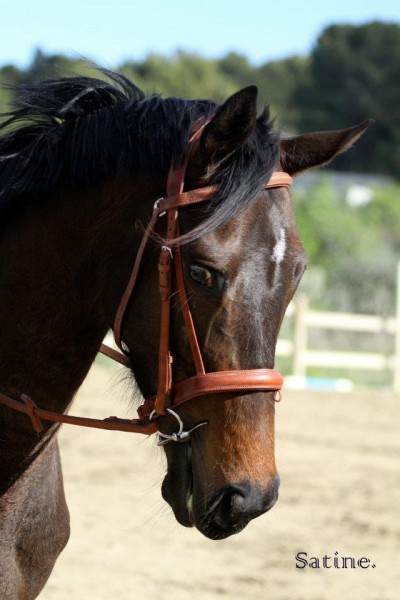 Photo de profil de lovely13