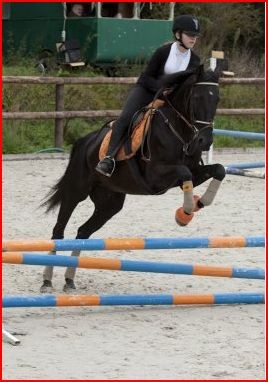 Photo de profil de lou2408