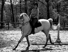 Photo de profil de olalav