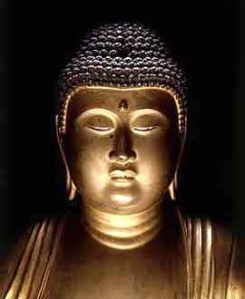 Photo de profil de maloco